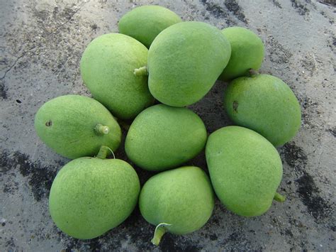 Unripe mango. Things To Know About Unripe mango. 